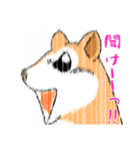 りすン とにかく聞いてほしい（個別スタンプ：6）