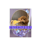 マルプーのモブ3（個別スタンプ：8）