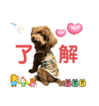マルプーのモブ3（個別スタンプ：10）