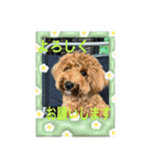 マルプーのモブ3（個別スタンプ：15）
