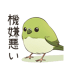 小鳥メジロ（個別スタンプ：5）