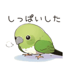 小鳥メジロ（個別スタンプ：25）