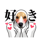 ビーグル こまちゃん（個別スタンプ：33）