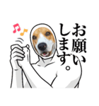 ビーグル こまちゃん（個別スタンプ：34）