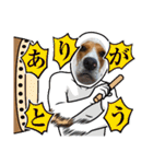 ビーグル こまちゃん（個別スタンプ：35）