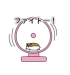 ハムスターのかわいい！スタンプ（個別スタンプ：5）