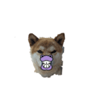 犬をドッグに（個別スタンプ：7）