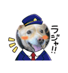 とってもかわいいねゆきちゃん（個別スタンプ：3）
