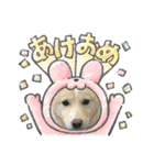 とってもかわいいねゆきちゃん（個別スタンプ：8）