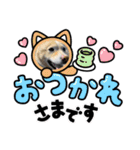 とってもかわいいねゆきちゃん（個別スタンプ：9）