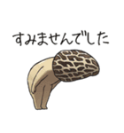 JINGONのきのこ（個別スタンプ：12）
