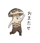 JINGONのきのこ（個別スタンプ：15）