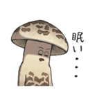 JINGONのきのこ（個別スタンプ：29）
