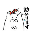 猫えび（個別スタンプ：16）