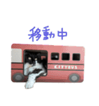 あらしにゃん！3（個別スタンプ：14）