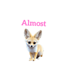 キツネ fennec fox（個別スタンプ：1）