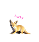 キツネ fennec fox（個別スタンプ：22）