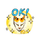 やさぐれ招き猫の狙った獲物は逃さない！（個別スタンプ：11）