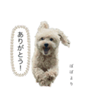 ぽぽと雄大と英茉（個別スタンプ：1）