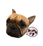 おっちょんじ（個別スタンプ：4）
