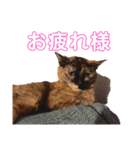 とびこスタンプ（個別スタンプ：3）