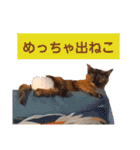 とびこスタンプ（個別スタンプ：4）