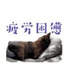 とびこスタンプ（個別スタンプ：11）