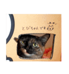 とびこスタンプ（個別スタンプ：27）