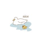 duck！duck！duck！（個別スタンプ：11）