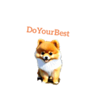 ポメラニアン pomeranian（個別スタンプ：5）