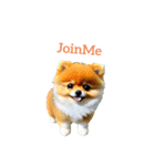 ポメラニアン pomeranian（個別スタンプ：19）