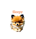 ポメラニアン pomeranian（個別スタンプ：28）