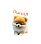 ポメラニアン pomeranian（個別スタンプ：34）