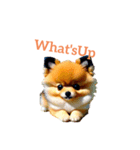 ポメラニアン pomeranian（個別スタンプ：38）