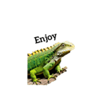 イグアナ iguana（個別スタンプ：5）