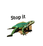 イグアナ iguana（個別スタンプ：29）