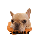 毎日使える挨拶⭐︎敬語（個別スタンプ：13）
