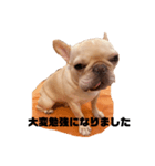毎日使える挨拶⭐︎敬語（個別スタンプ：14）