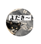 ラルフいつかまた。（個別スタンプ：5）