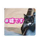 ラルフいつかまた。（個別スタンプ：12）