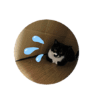 ラルフいつかまた。（個別スタンプ：13）