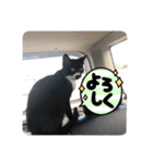 ラルフいつかまた。（個別スタンプ：14）