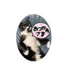 ラルフいつかまた。（個別スタンプ：15）