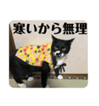 ラルフいつかまた。（個別スタンプ：16）