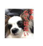 ビビと武内と愉快な仲間たち★（個別スタンプ：2）