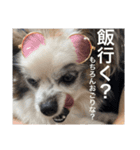 ビビと武内と愉快な仲間たち★（個別スタンプ：3）