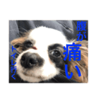 ビビと武内と愉快な仲間たち★（個別スタンプ：4）
