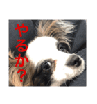 ビビと武内と愉快な仲間たち★（個別スタンプ：5）