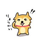 柴犬ムクちゃんスタンプ（個別スタンプ：3）