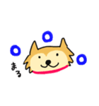 柴犬ムクちゃんスタンプ（個別スタンプ：4）